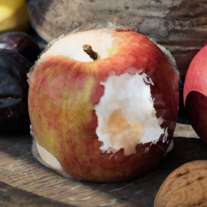 Fruit Effects